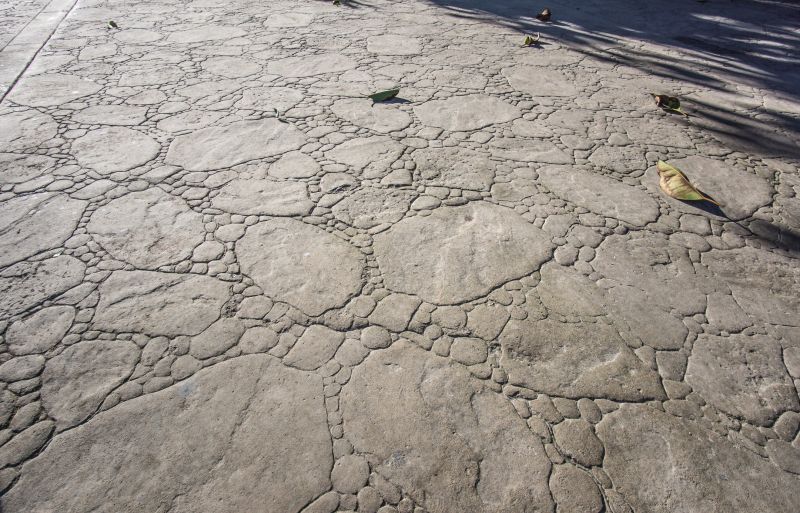 Stamped Concrete Pattern