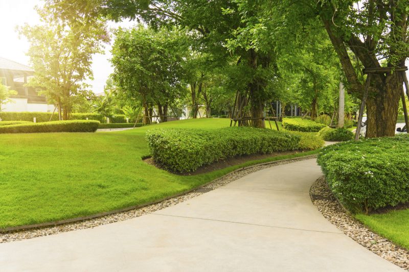 Concrete Walkway Installation