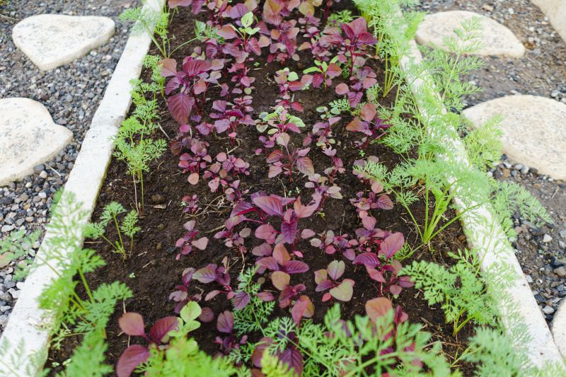Flowerbed Edging Installation